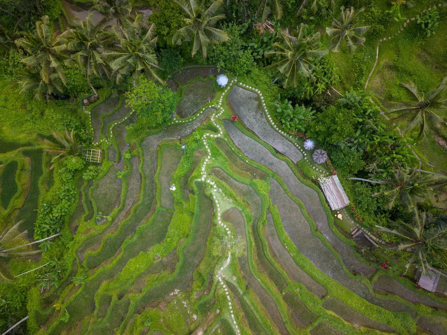Bali Spirit Festival