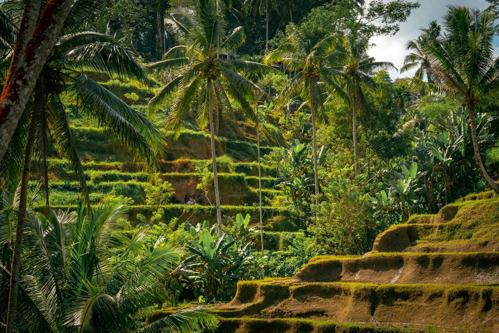 Bali Spirit Festival