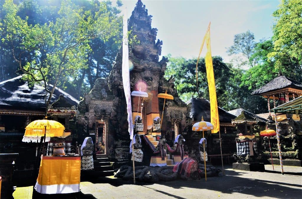 Sacred Monkey Forest