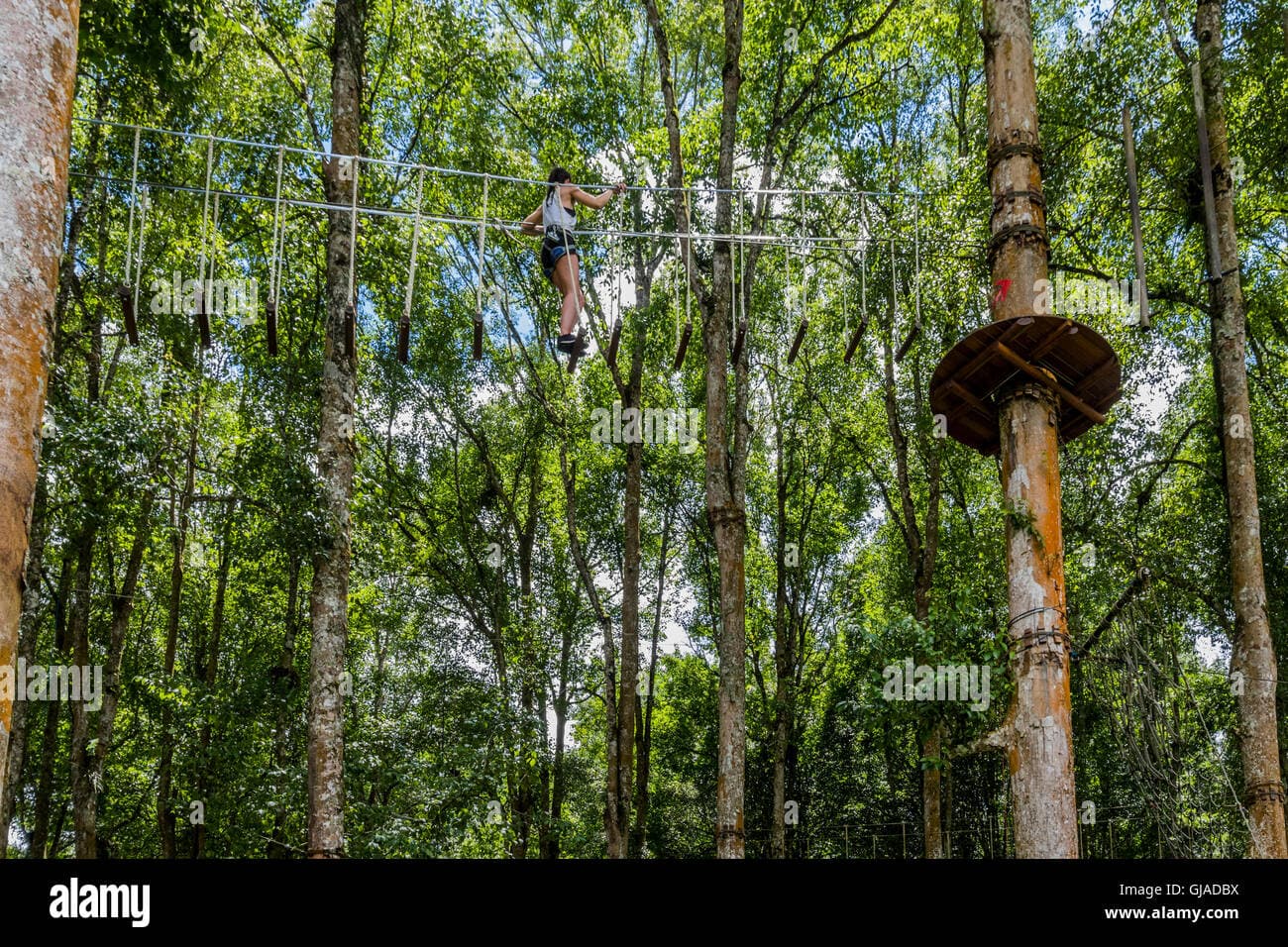 Bali Treetop Adventure Park